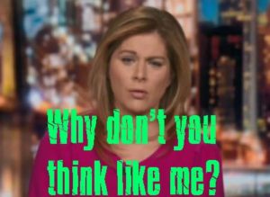 Erin Burnett Stupidity