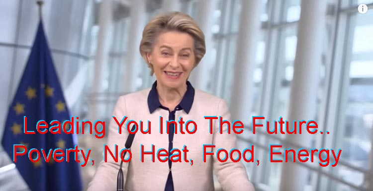 Ursala von der Leyen Leading Europe Into Poverty